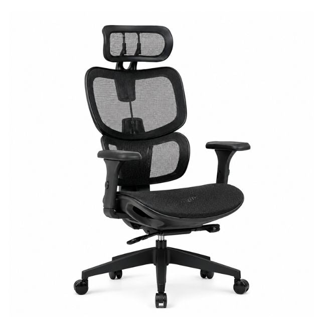 Silla De Escritorio Ergoplus